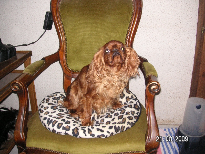 Publication : des Kings des pins parasols 