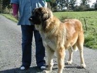 Publication : de la Croix d'Atal Auteur : Blin