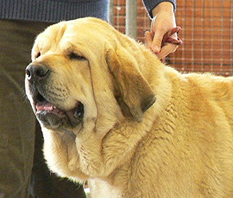 Amon re du Chemin Des Puits Tournants