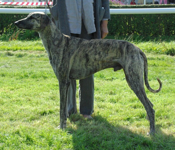 Erfoud Des hammadates de merzouga