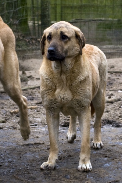 Falgary des Potteries