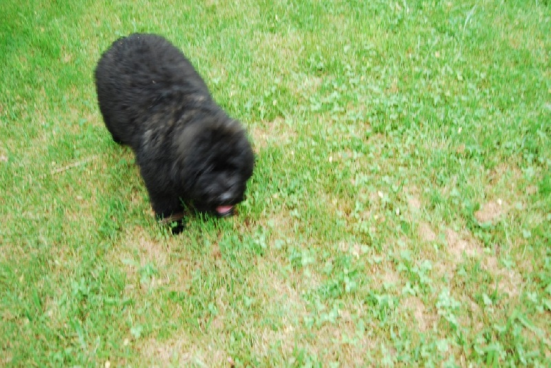 Publication : des landes Segala 