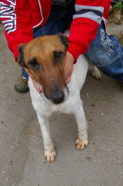 Publication : de la Campagne Epargnaise 