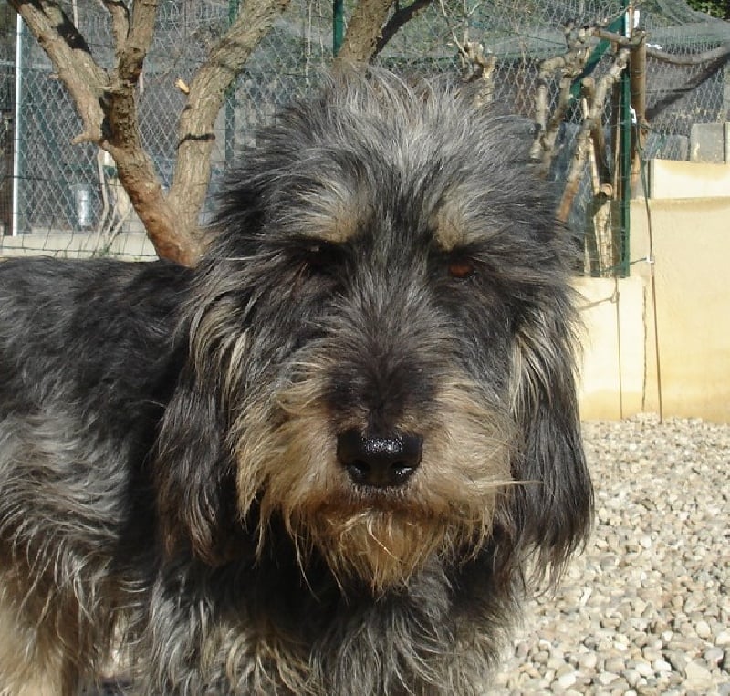 Publication : du roc d'Eden 