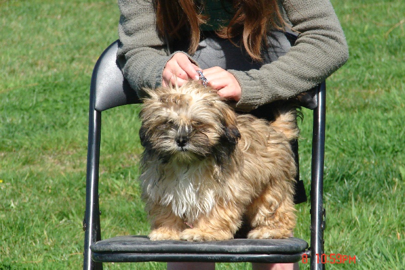 Publication : des secrets du Gevaudan Auteur : mallet muriel