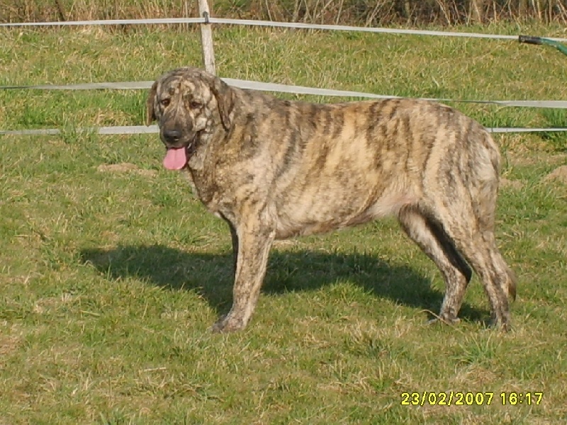 Publication : des Jardins de Grenade