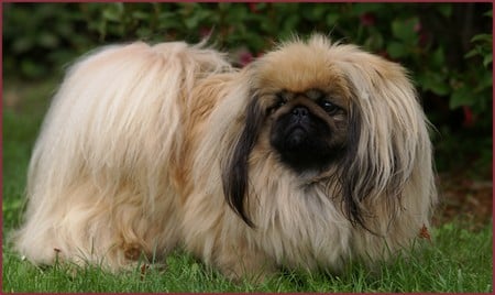 Publication : de l'empire des trois lacs 