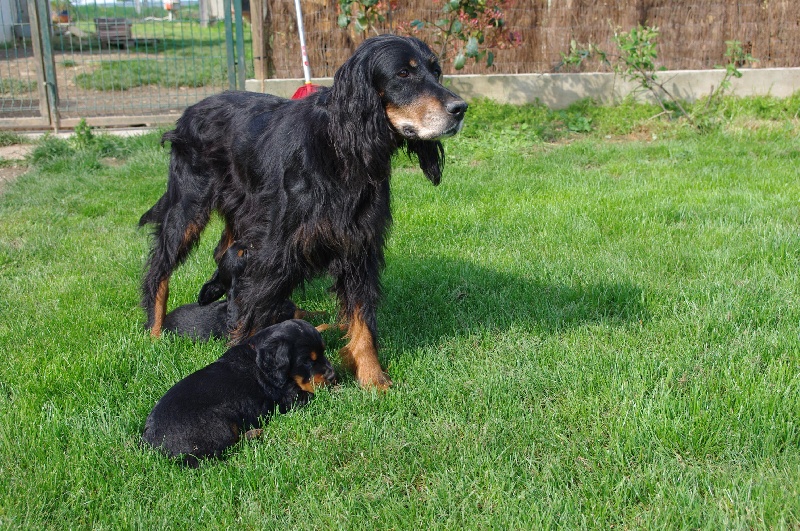 Sarah des bergers des quatre vents
