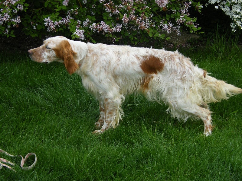 Blue des clos de la Madoire