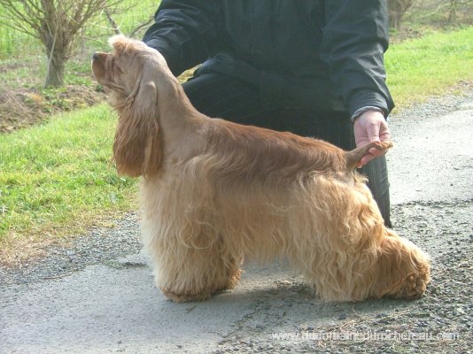 Bahamas Du domaine du rochereau