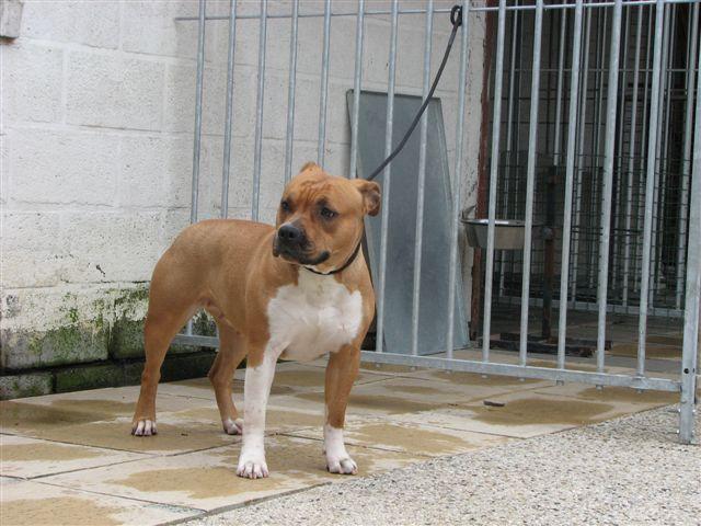 Fumous van d hellekapen