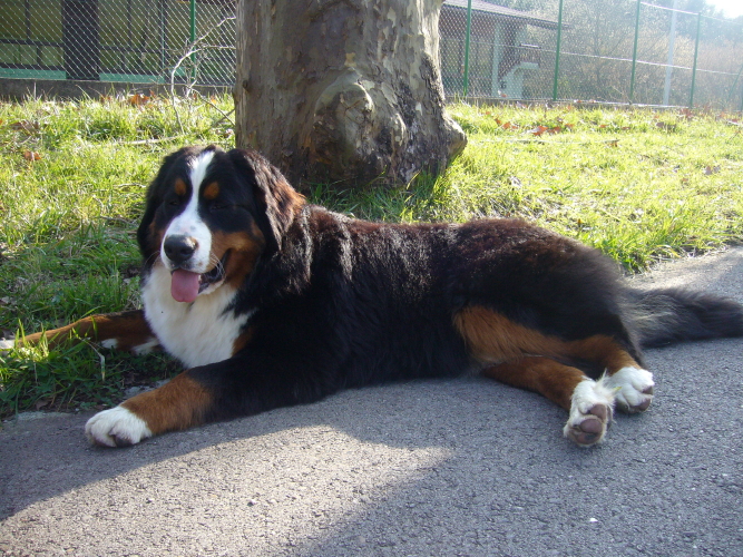 Publication : del Culebre Auteur : Gutierrez Gimeno Leticia