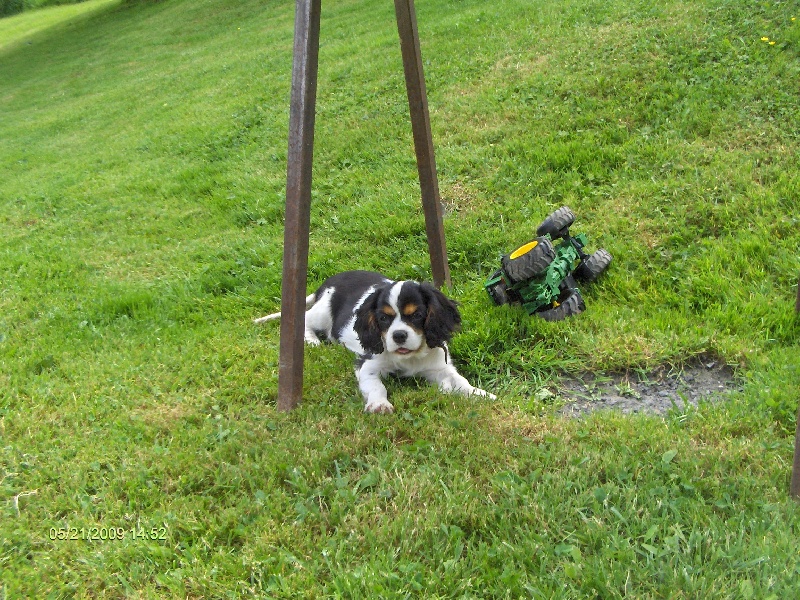 Auteur : Tupin séverine