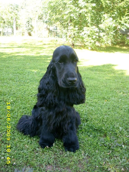 Publication : Of Tender Look Auteur : Sonia Devillière