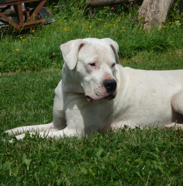 Publication : Des syltoken