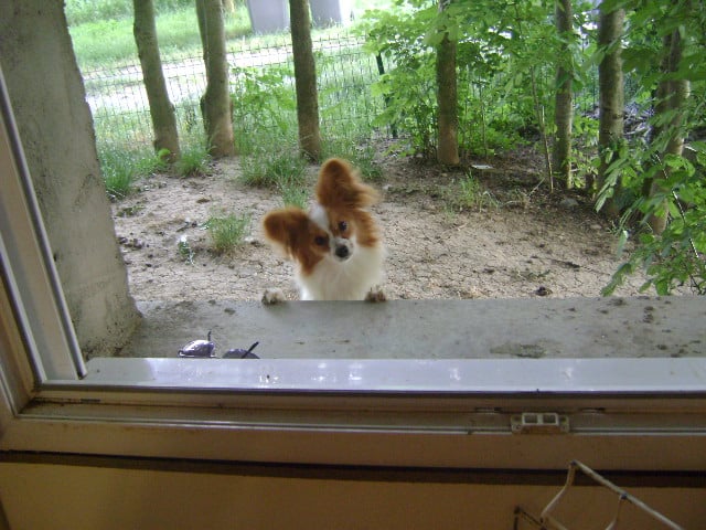 Publication : des marais de haute rive 