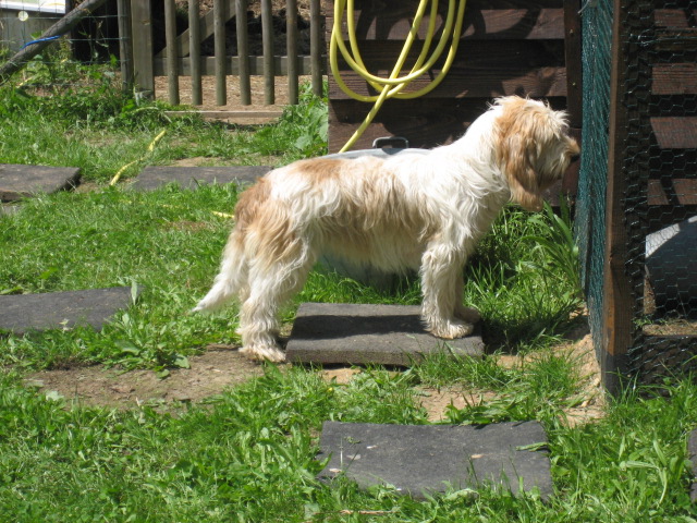 grefierduroi Quelle Quine