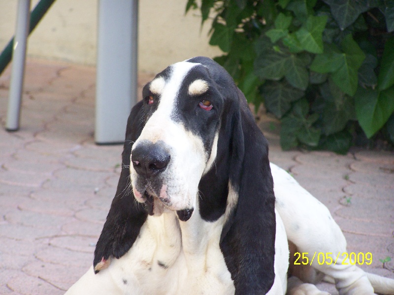 Publication : de l'écho de Bure