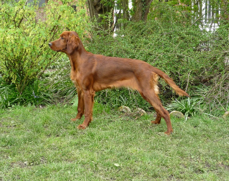 Publication : des Bruyères de l'Escrebieux Auteur : Florence Carton