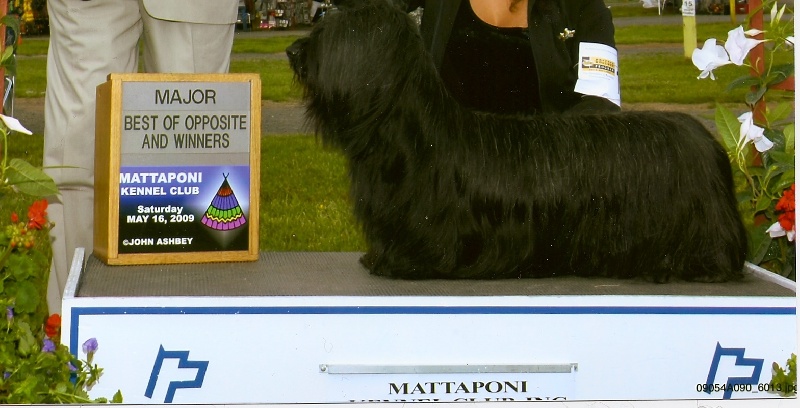 Publication : of Wallace's Coven Auteur : John Ashby