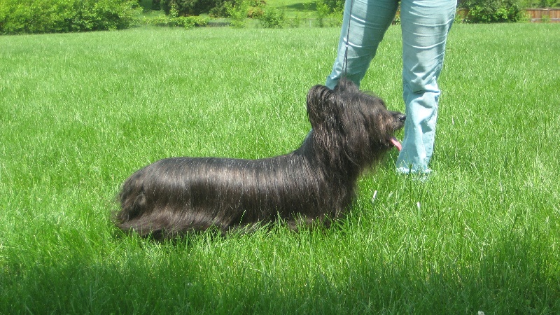 Publication : of Wallace's Coven Auteur : Shalini Ahuja