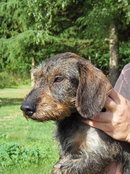 Tonnerre (Sans Affixe)