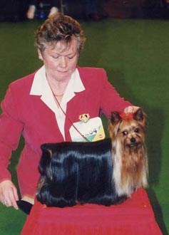 CH. Wenwytes Wild intrigue