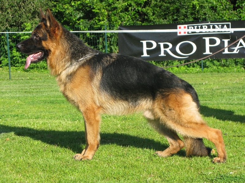 Publication : des Terrils du Ch’ti 