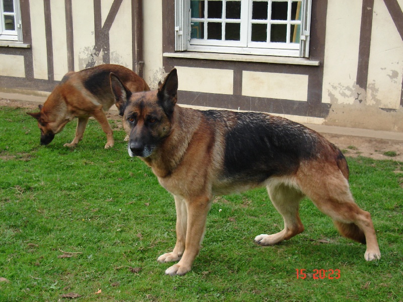 Utes de l'Orée du bosc