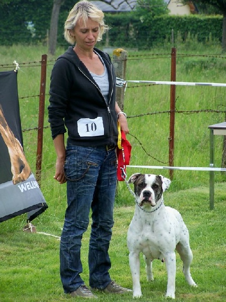 Publication : du Soleil Pampa 