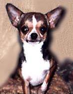 Nils Des pyramides de cholula