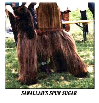Sanallah's Spun Sugar