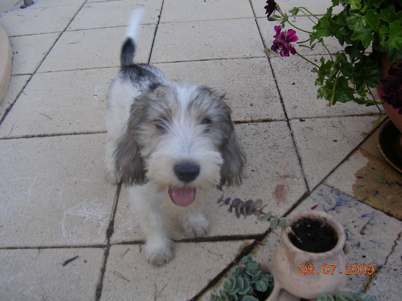 Publication : du jas des garennes Auteur : Navarro