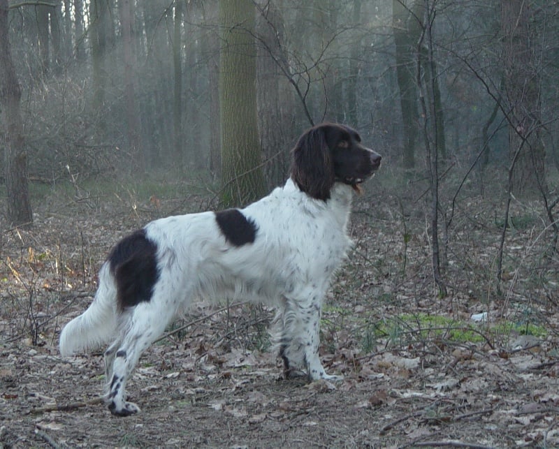 CH. Xilke van Bouchreyck