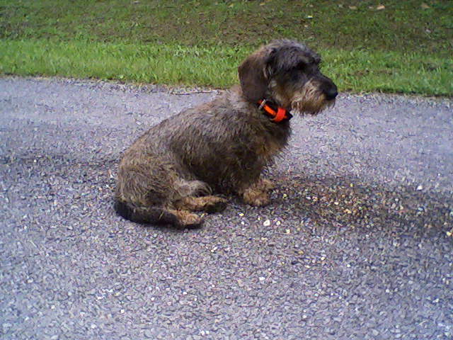 Publication : des bourbeaux 