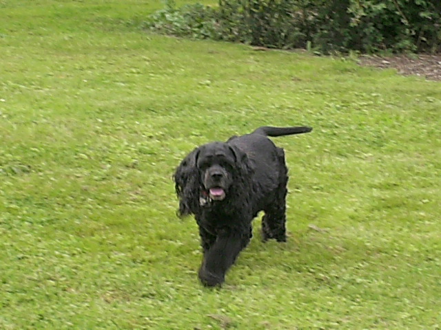 Publication : au regard d'Ange Auteur : moi