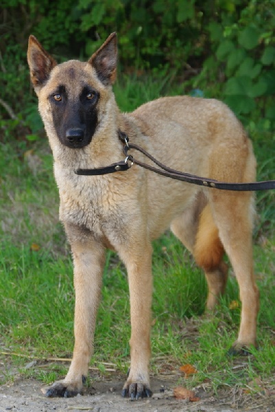 Publication : Du domaine de ceres