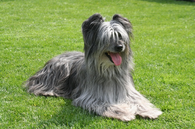 Publication : du Casaun d'Ayros Auteur : Mme Connuel Nathalie