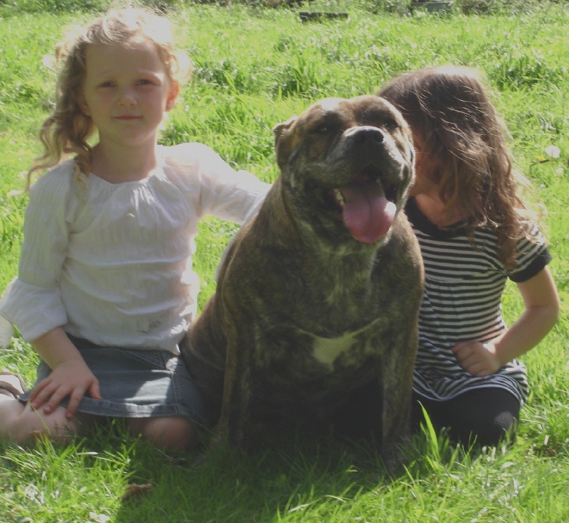 Publication : hasta siempre