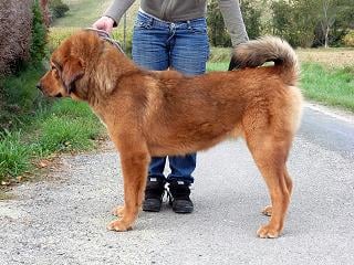 Publication : aux Protecteurs d'Eurilo 