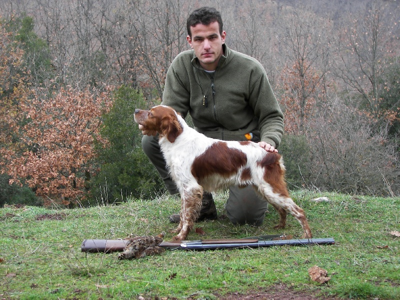 Publication : toy Tzouramani 