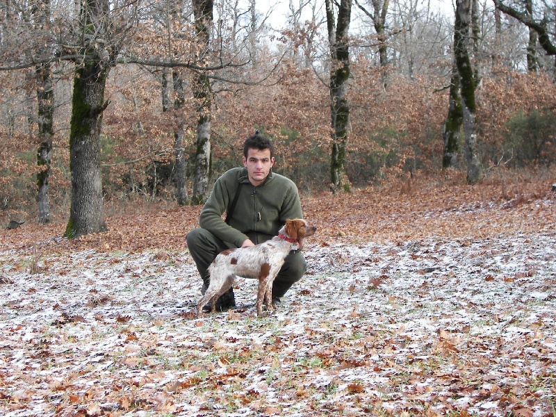 Publication : toy Tzouramani 