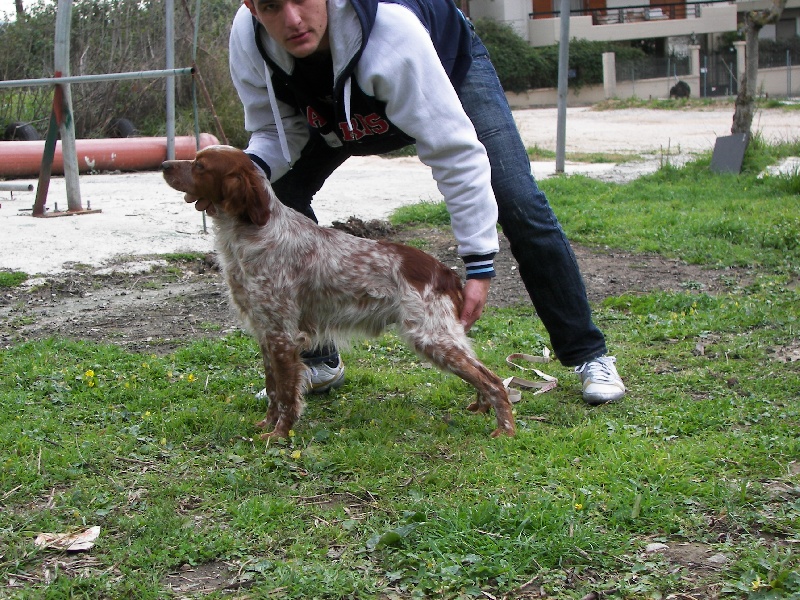 Publication : toy Tzouramani 