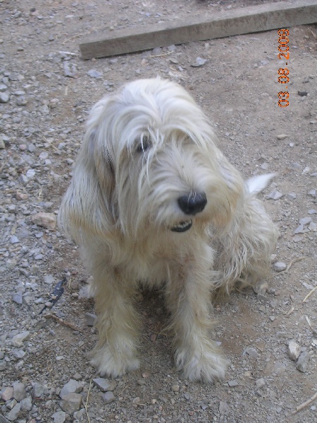 Publication : du jas des garennes Auteur : NAVARRO