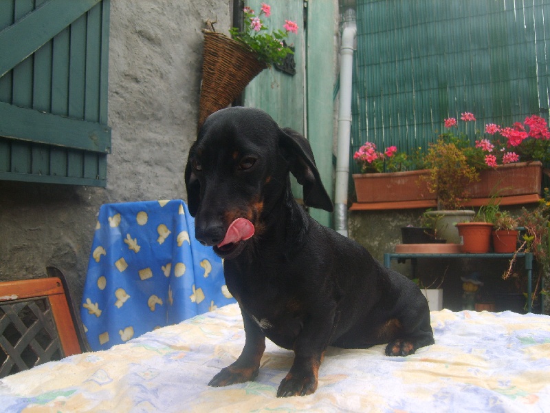 Publication : des petits scampis 