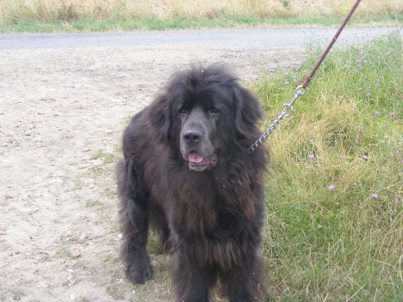 Vidocq (Sans Affixe)