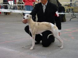 hasue Hand's across the water