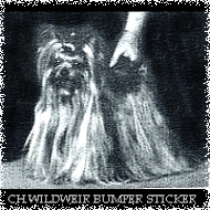 CH. Wildweir Bumper sticker