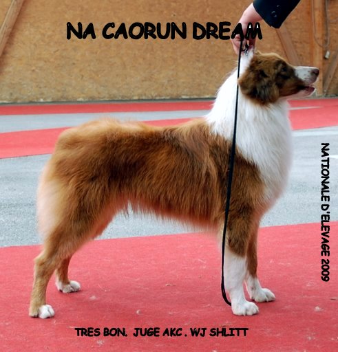 CH. Na Caorrun Dream 