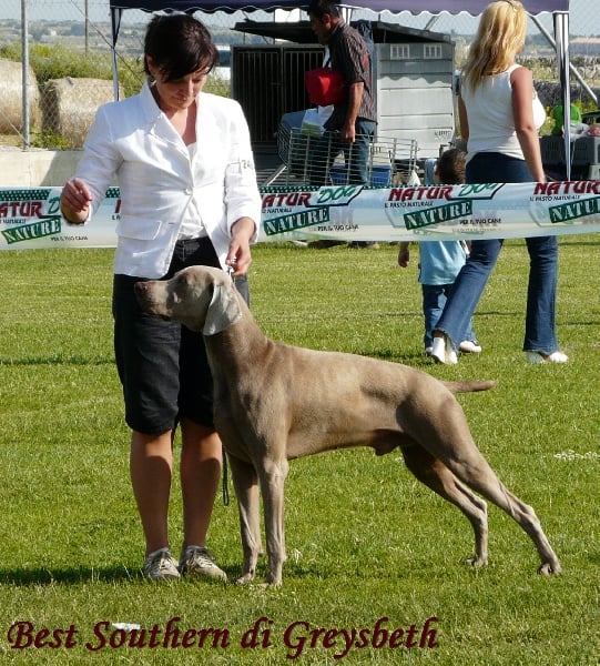 Publication : di Greysbeth Auteur : GREYSBETH